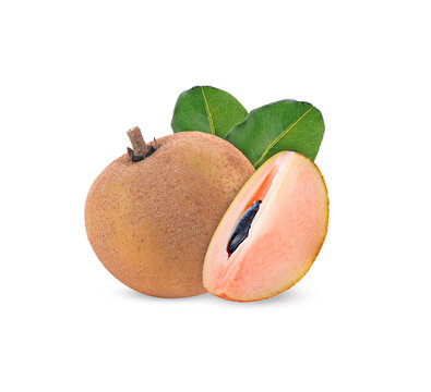  sapodilla fruit isolated on white background