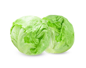 Green iceberg lettuce on white background