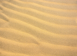 Ripples in the sand