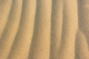 Fototapeta na wymiar Rippled texxture of sand 