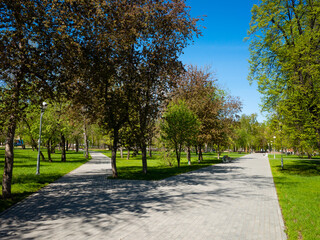 City park at summer time with morning light and long shadows. Parking area with a trees, bench and pathway