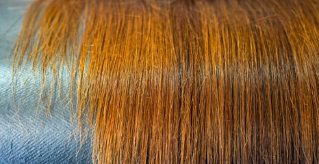 close up of hair brush