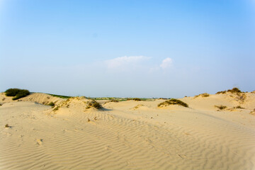 Sand dunes in the Thar desert