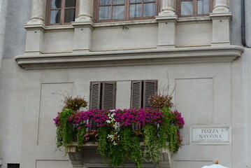 Fototapeta na wymiar Flowers on the balcony