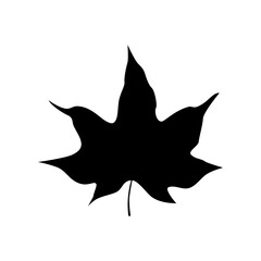 Maple leaf silhouette. Vector illustration. Design element isolated on white background.