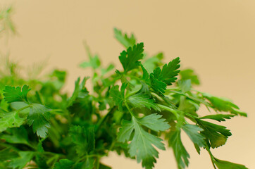 world vegetarian and vegan food day