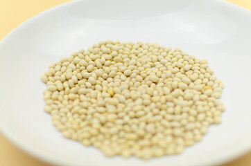 world vegetarian and vegan food day
