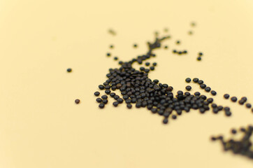 world vegetarian and vegan food day