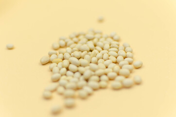 world vegetarian and vegan food day