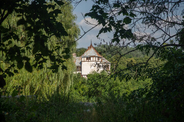 Fototapeta na wymiar Summer forest in Kharkiv region