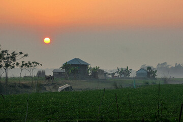 Obraz premium sunset over the field