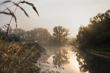 morning mist over the river at dawn, a lone fallen tree in the fog
