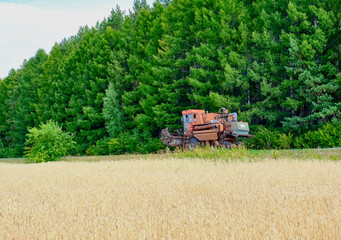 The combine is driving along the edge of a field of ripe wheat