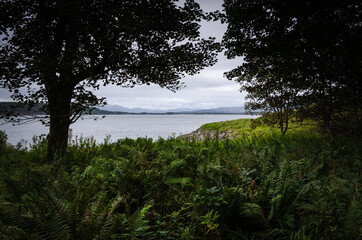 Obraz na płótnie Canvas A view of the Oban bay from a forest in Argyll, Scotland