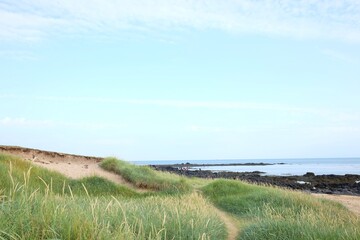 beach in the morning