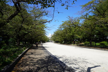 広い公園