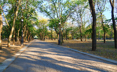 nature, a trail in the city Park early in the morning, bright sunlight and long shadows of trees