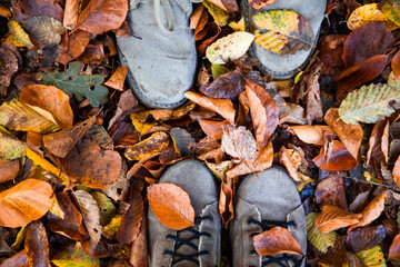 couple feet in autumn foliage