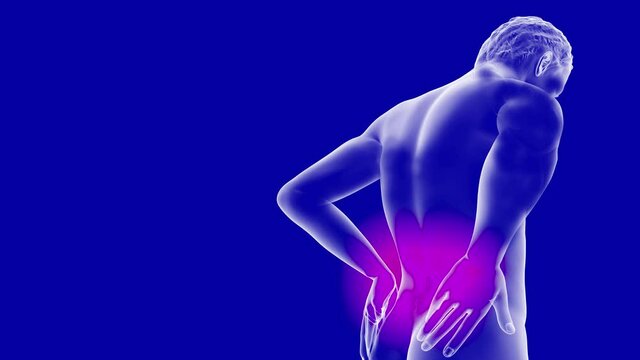 Realistic 3D animation of a person holding their lower back in pain, back pain concept with copy space for medical healthcare education and advertising video footage