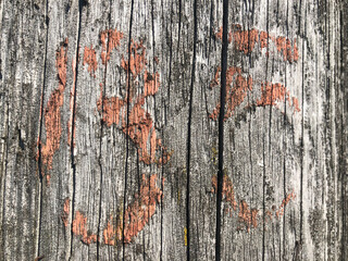 old wood background цшер ышпт 86