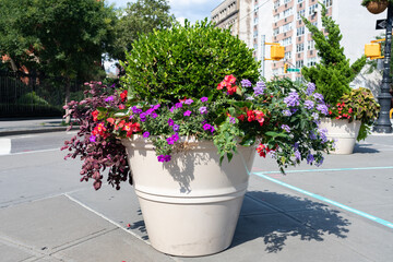 Beautiful Large Flower Pot along the Street in Greenwich Village of New York City with Colorful Flowers during Summer