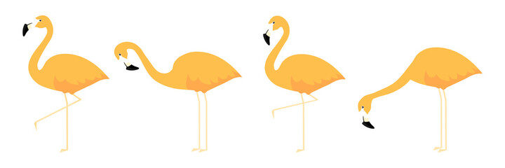 Group cute orange flamingo in different poses cartoon vector illustration isolated on white © Віталій Баріда