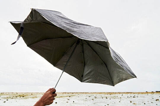 Close-up of a female hand holding an open folding umbrella in rainy weather against a white grey sky