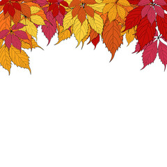 Naklejka na ściany i meble Autumn Background Template with leaves. Special offer. Limited Time. Vector Illustration