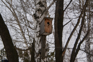 old birdhouse on a tree