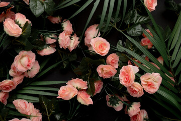 Palm leaves with pink flowers background