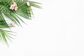 Palm leaves on white background with copy space