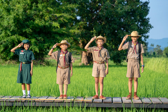 Boy scout symbol,Concept is learning Scout subject.