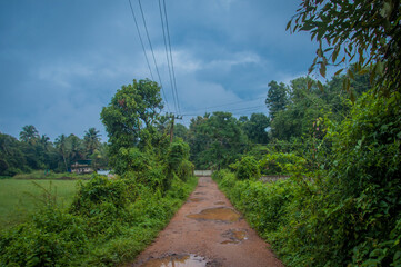 a landscape after raining 