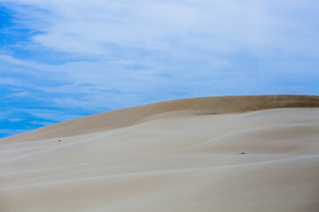 sand dunes in the desert