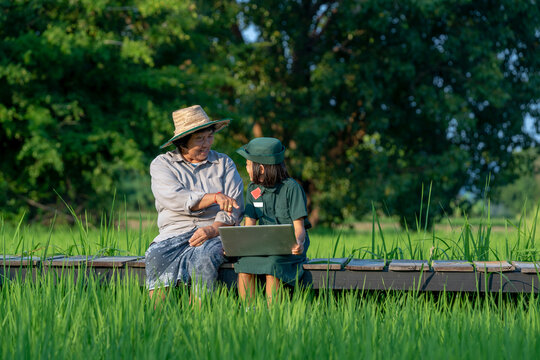 Girl scouts and mother using laptop at scout camp on a forest.