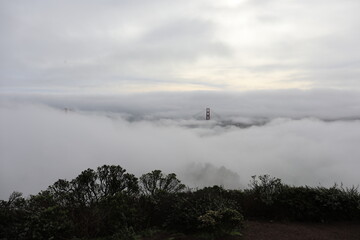 foggy morning in San Francisco