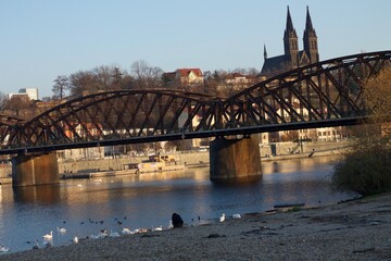 Prega