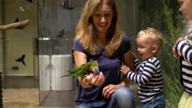 family feeding parrots at zoo. Mother with cute daughter and son. Gimbal motion