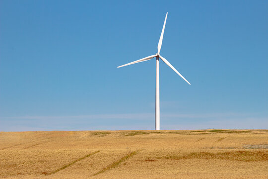 A wind tower turbine electricity gererator, renewable energy source on a farm field.