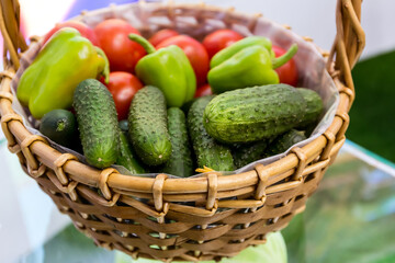 Different kind of fresh vegetables from the garden in a wicker basket.