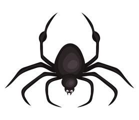 Halloween spider cartoon vector design