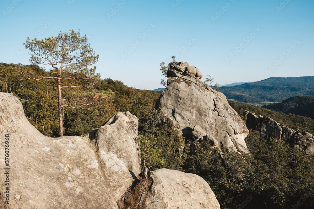Wall mural landscape with high stone rock in a green forest under a blue sky on a background of mountains. copy
