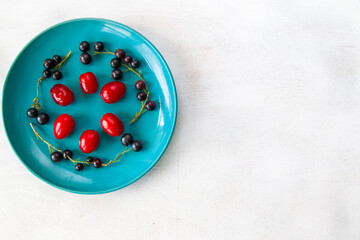 Currant, Cornus and dogberry, high angle view