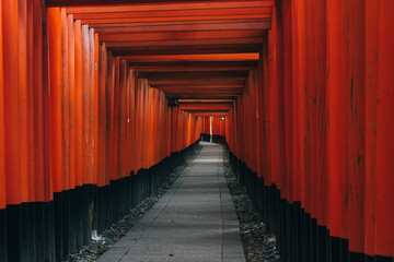 japanese shrine in kyoto