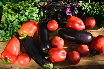 Farm tomatoes, bell peppers, eggplants and greens lie on a wooden surface. Concept of biological, bio products, bio ecology, grown by yourself, vegetarians