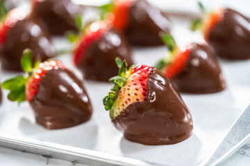Chocolate dipped strawberries