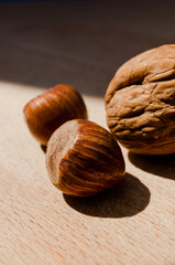 Wallnuts and hazelnuts macro photography
