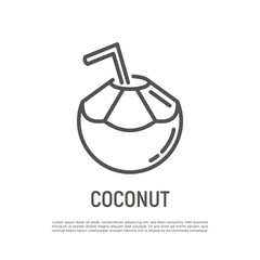 Coconut drink with straw thin line icon. Exotic fruit. Healthy organic food. Vector illustration.
