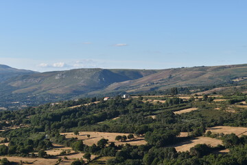 Fototapeta na wymiar fields with trees in a mountain landscape