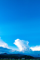 夏の入道雲（積乱雲）が青い空を背景に雄大に発達する。